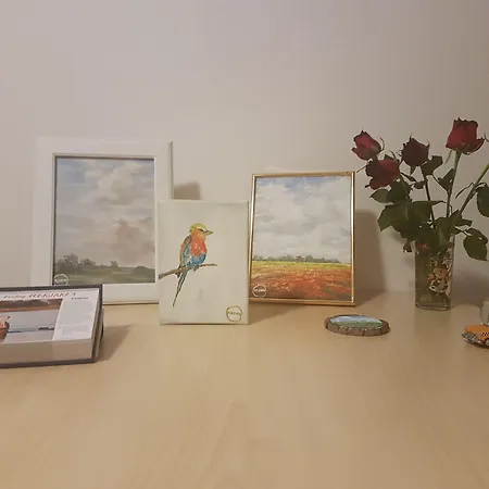 Teslova Bed and breakfast Liubliana