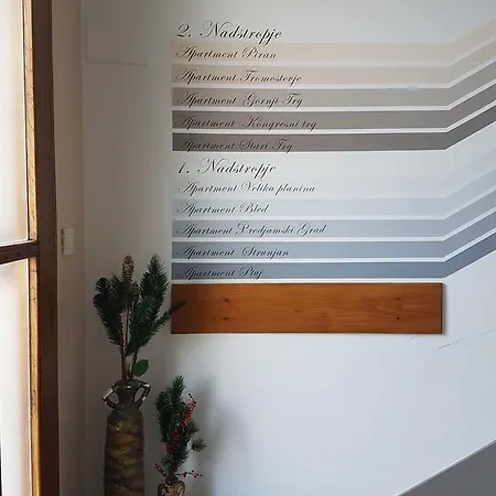 Nocleg ze śniadaniem Teslova 3*